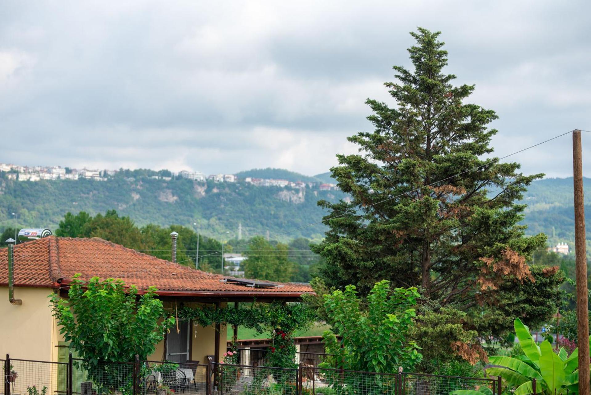 Cottage Lina Edessa Exterior foto